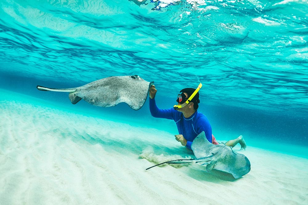 Grand Cayman Scuba Diving with Sting Rays
