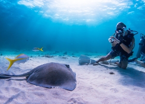 Grand Cayman Scuba